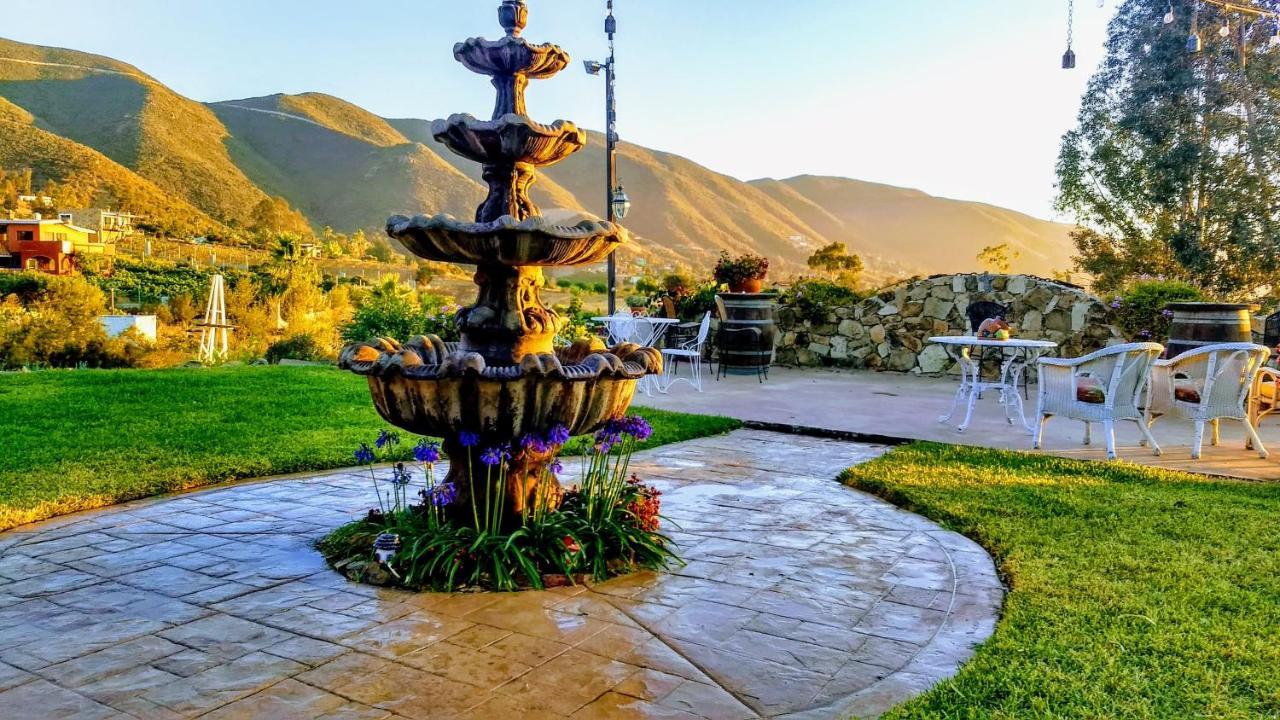 Vina Calabria Bed & Breakfast Valle de Guadalupe Ngoại thất bức ảnh