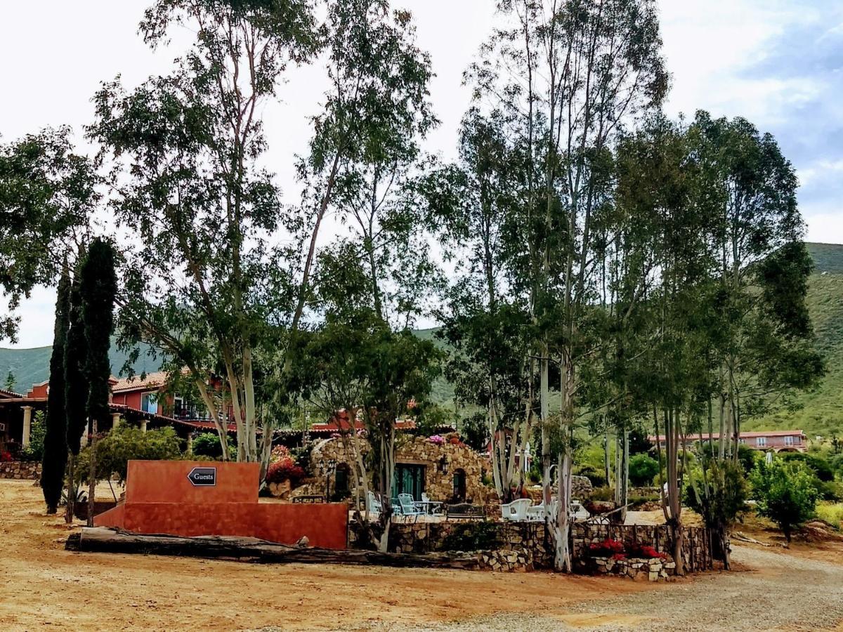 Vina Calabria Bed & Breakfast Valle de Guadalupe Ngoại thất bức ảnh