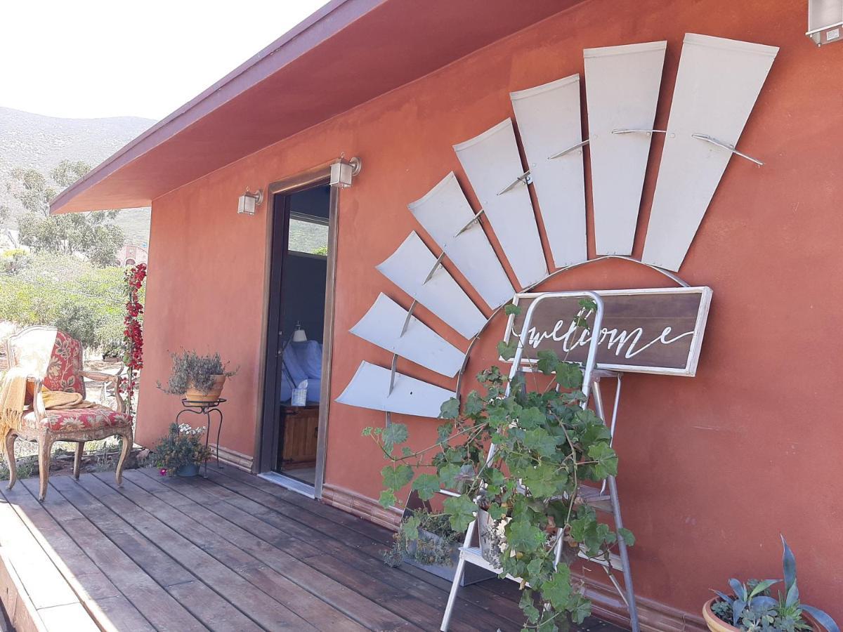 Vina Calabria Bed & Breakfast Valle de Guadalupe Ngoại thất bức ảnh