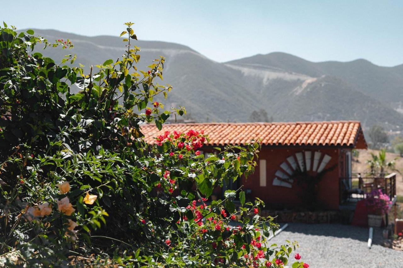 Vina Calabria Bed & Breakfast Valle de Guadalupe Ngoại thất bức ảnh