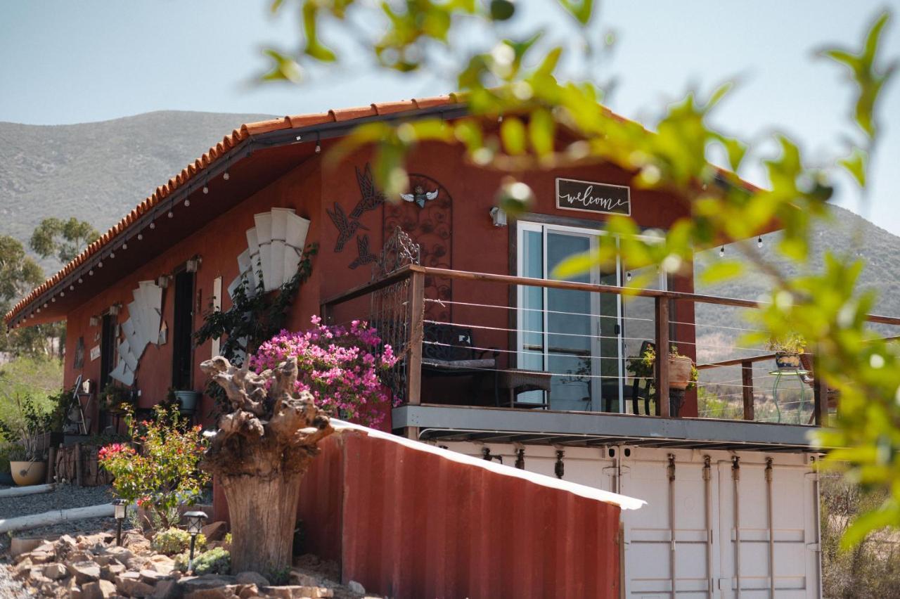 Vina Calabria Bed & Breakfast Valle de Guadalupe Ngoại thất bức ảnh