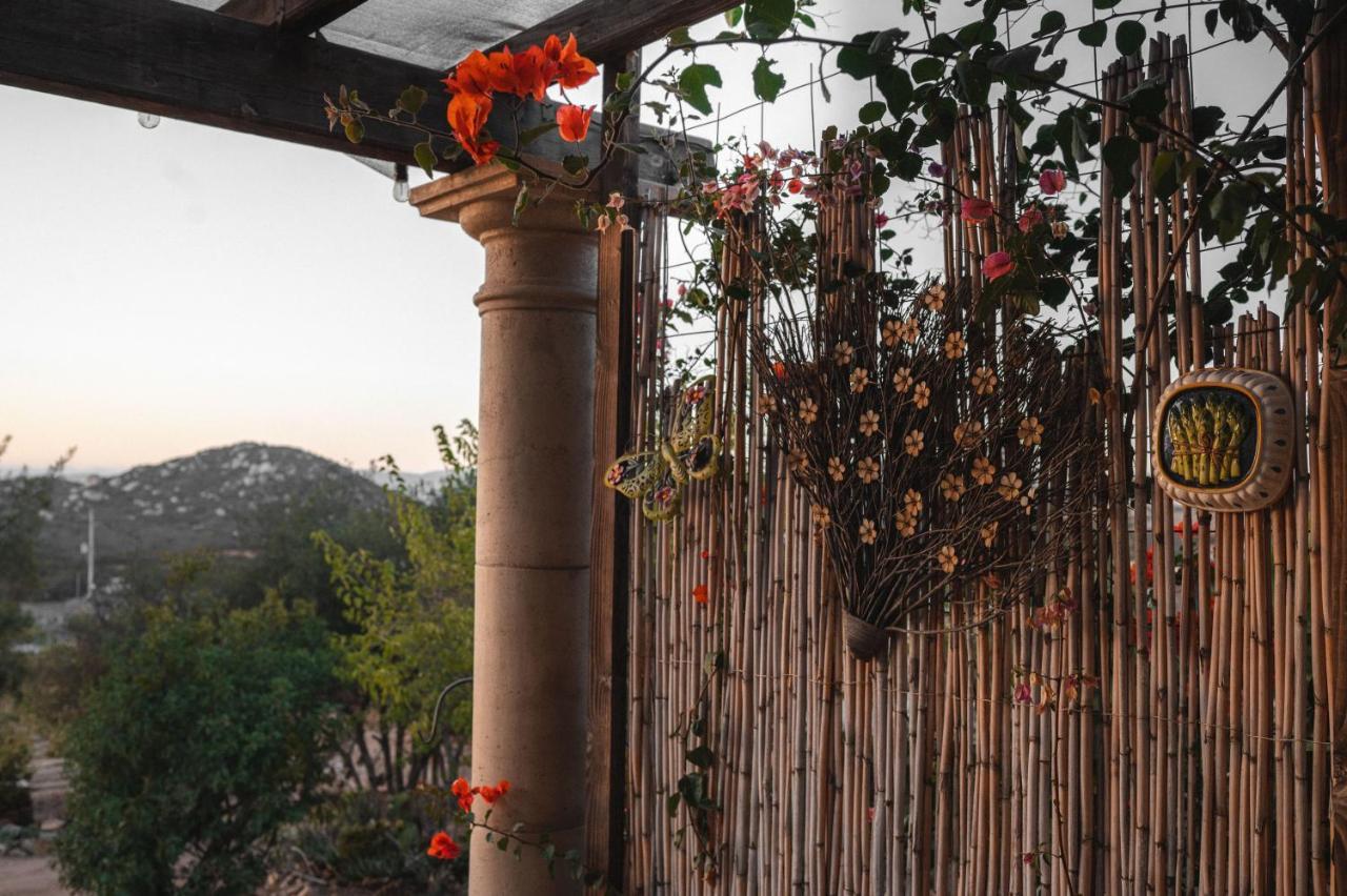 Vina Calabria Bed & Breakfast Valle de Guadalupe Ngoại thất bức ảnh