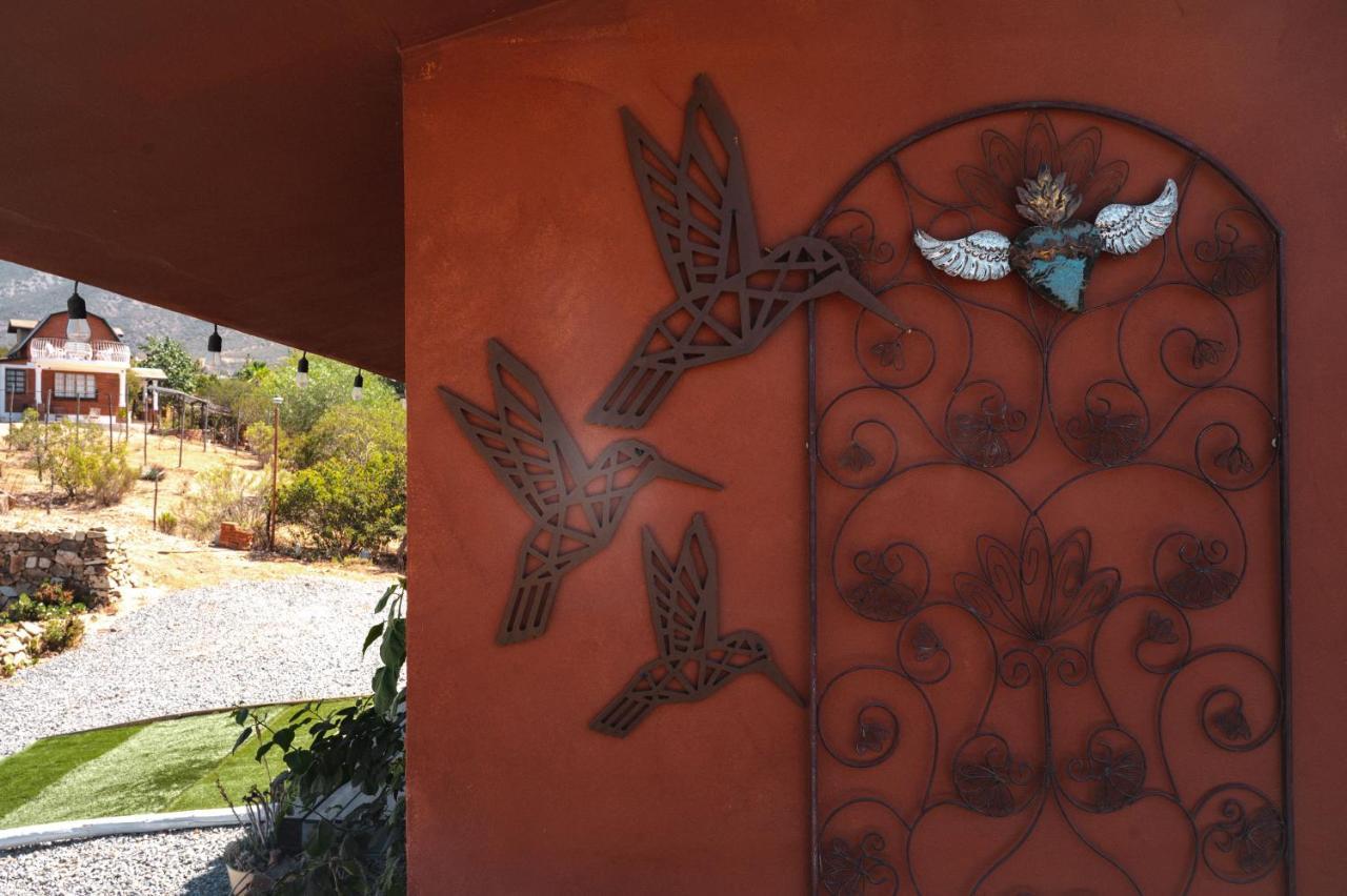 Vina Calabria Bed & Breakfast Valle de Guadalupe Ngoại thất bức ảnh
