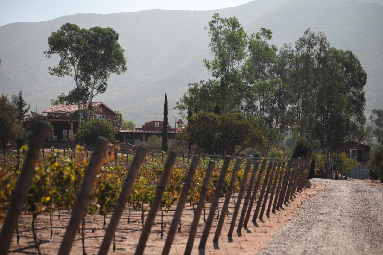 Vina Calabria Bed & Breakfast Valle de Guadalupe Ngoại thất bức ảnh
