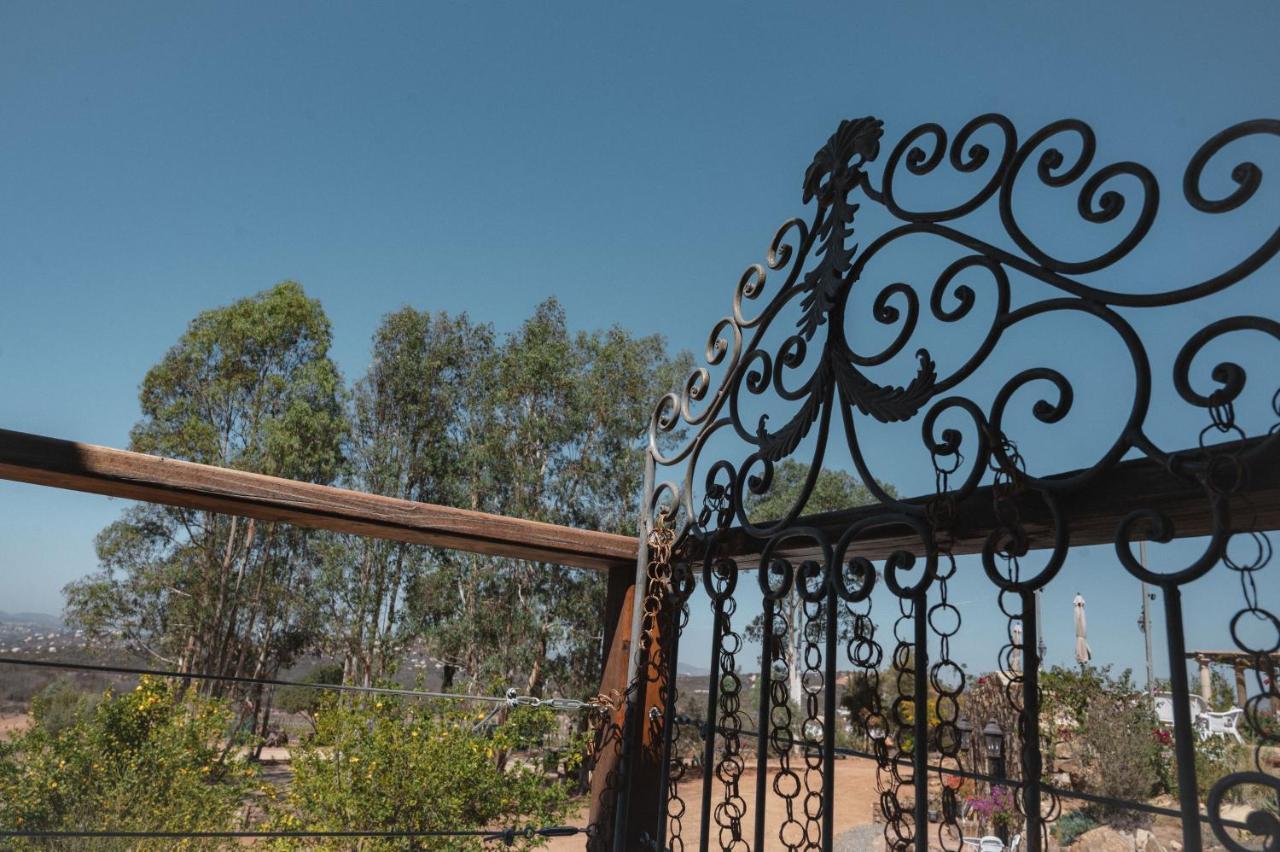 Vina Calabria Bed & Breakfast Valle de Guadalupe Ngoại thất bức ảnh