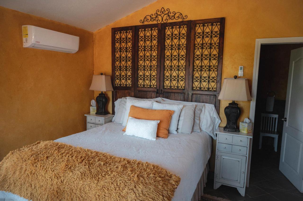 Vina Calabria Bed & Breakfast Valle de Guadalupe Ngoại thất bức ảnh