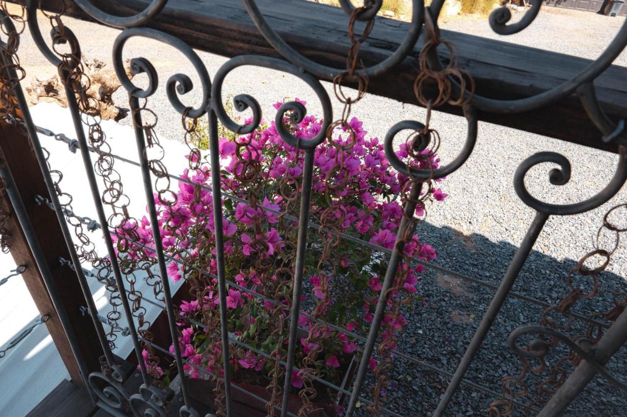 Vina Calabria Bed & Breakfast Valle de Guadalupe Ngoại thất bức ảnh