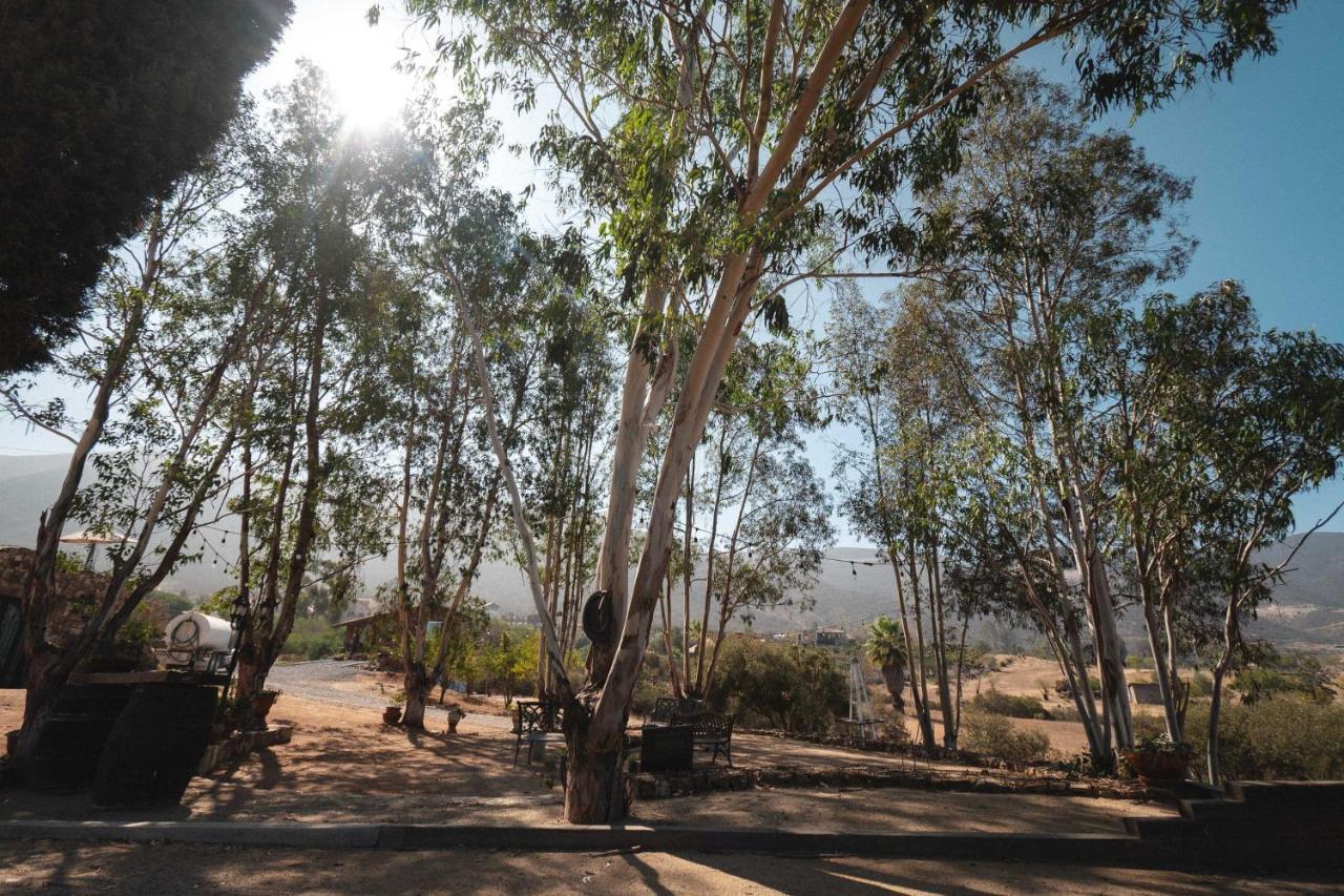 Vina Calabria Bed & Breakfast Valle de Guadalupe Ngoại thất bức ảnh