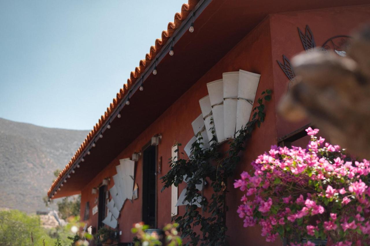 Vina Calabria Bed & Breakfast Valle de Guadalupe Ngoại thất bức ảnh