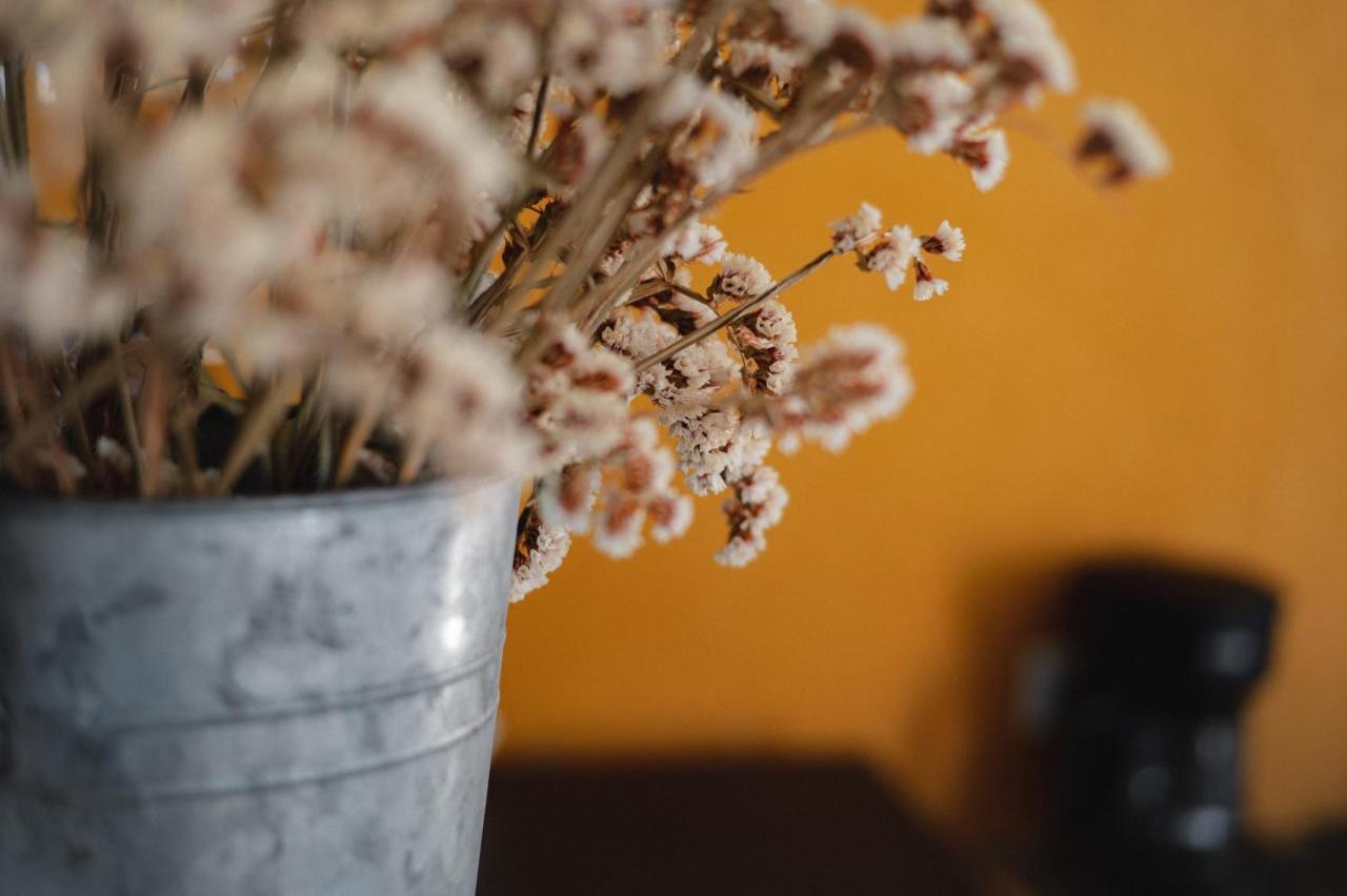 Vina Calabria Bed & Breakfast Valle de Guadalupe Ngoại thất bức ảnh
