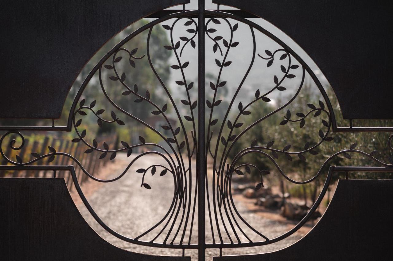 Vina Calabria Bed & Breakfast Valle de Guadalupe Ngoại thất bức ảnh