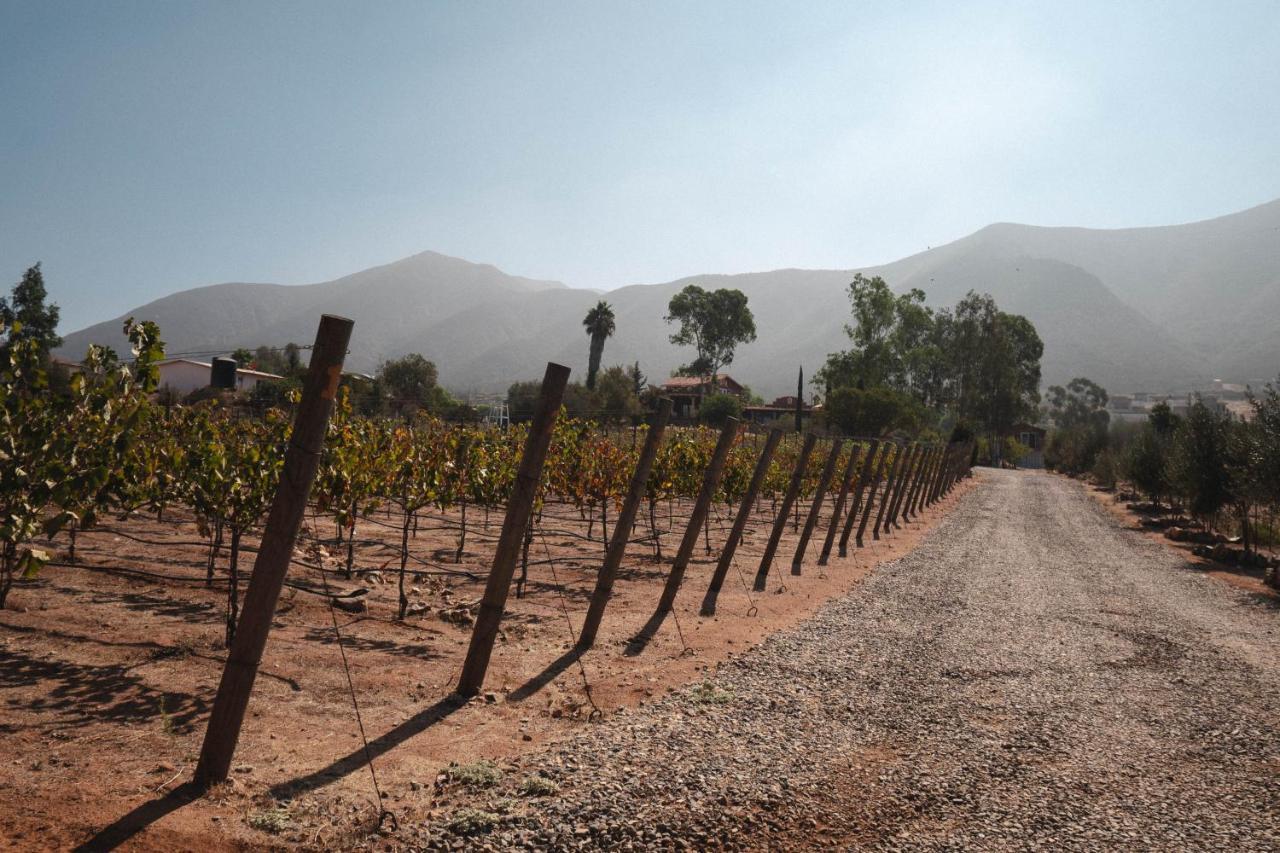 Vina Calabria Bed & Breakfast Valle de Guadalupe Ngoại thất bức ảnh