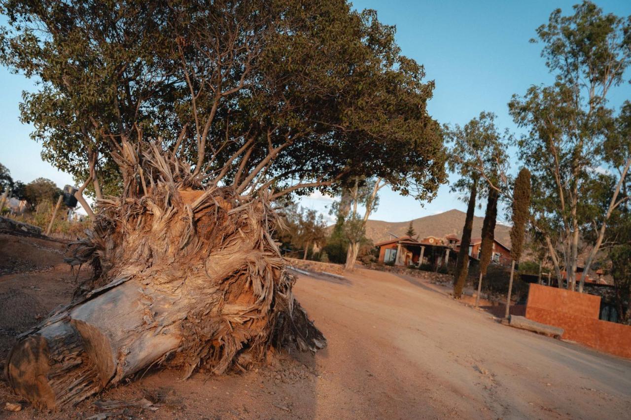 Vina Calabria Bed & Breakfast Valle de Guadalupe Ngoại thất bức ảnh