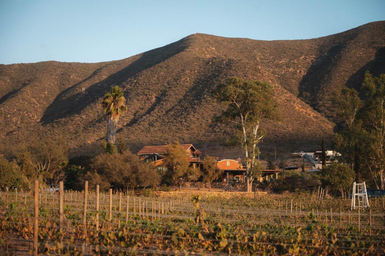 Vina Calabria Bed & Breakfast Valle de Guadalupe Ngoại thất bức ảnh