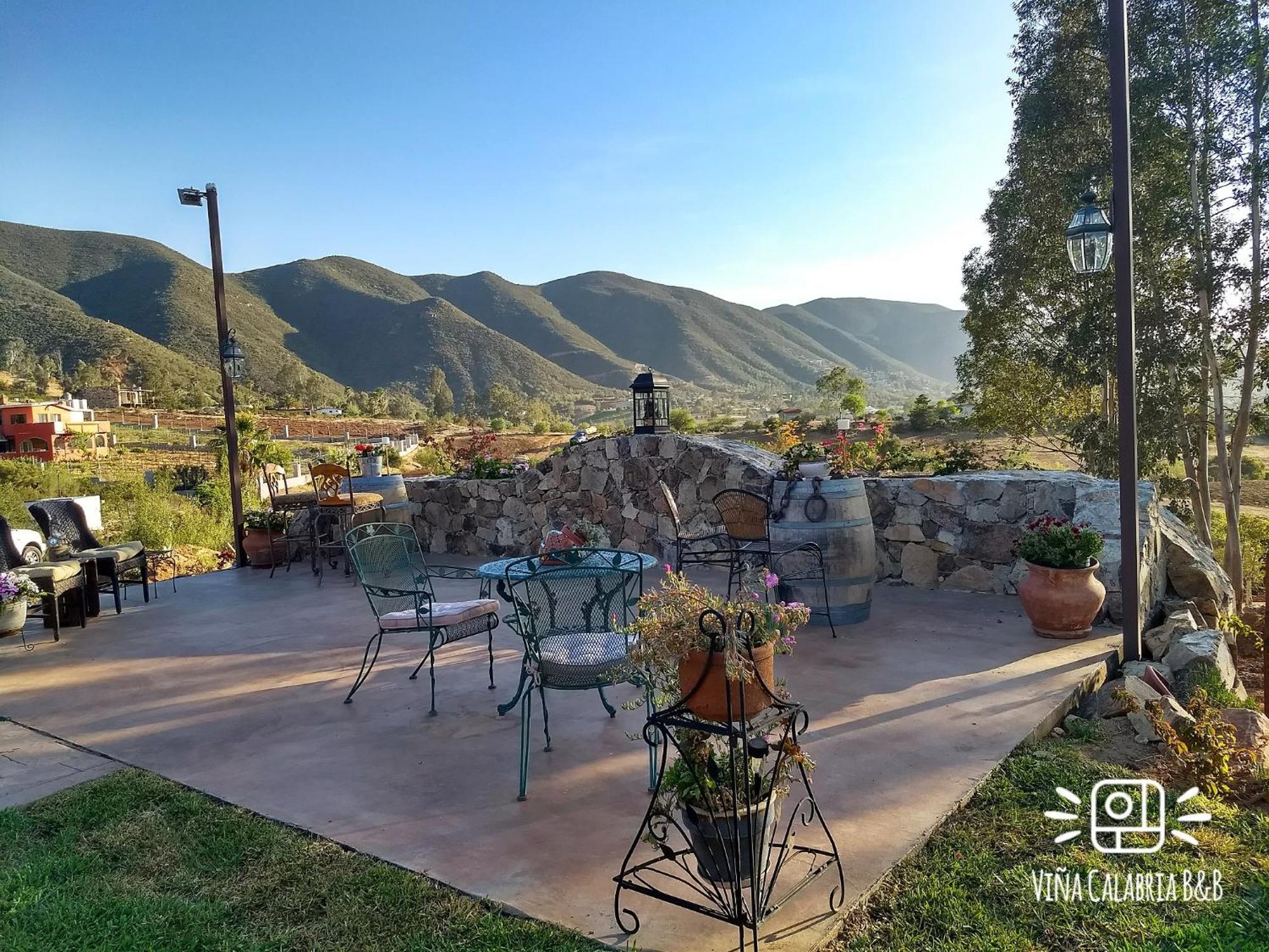 Vina Calabria Bed & Breakfast Valle de Guadalupe Ngoại thất bức ảnh